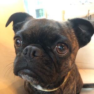 Meet your Posher, Ben